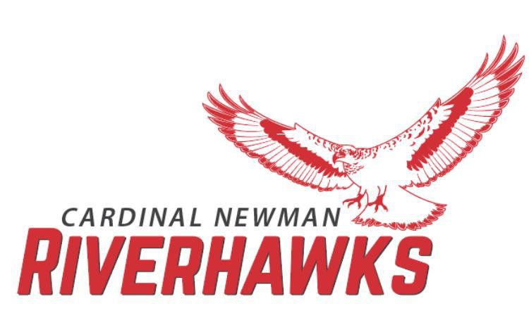 Announcing our mascot: the Riverhawk!